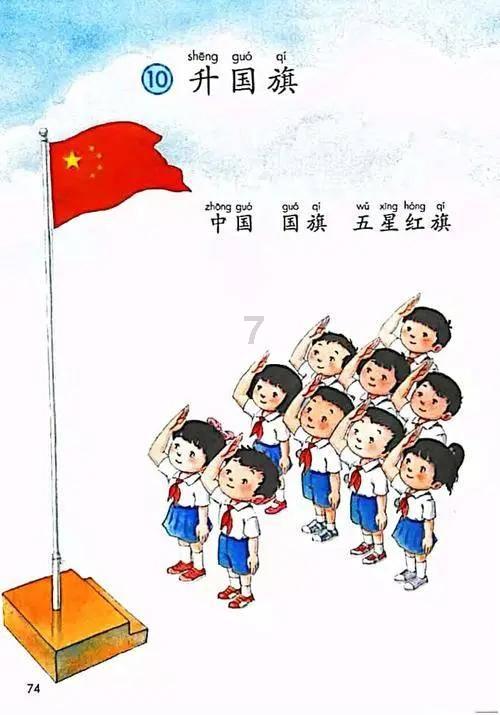 这个是什么植物吗